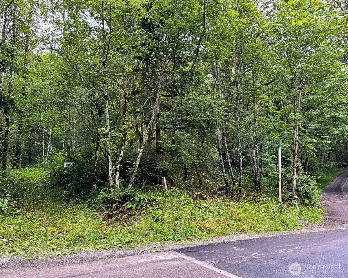 355 SE Courtney Road, Ravensdale, WA 98051 - #1