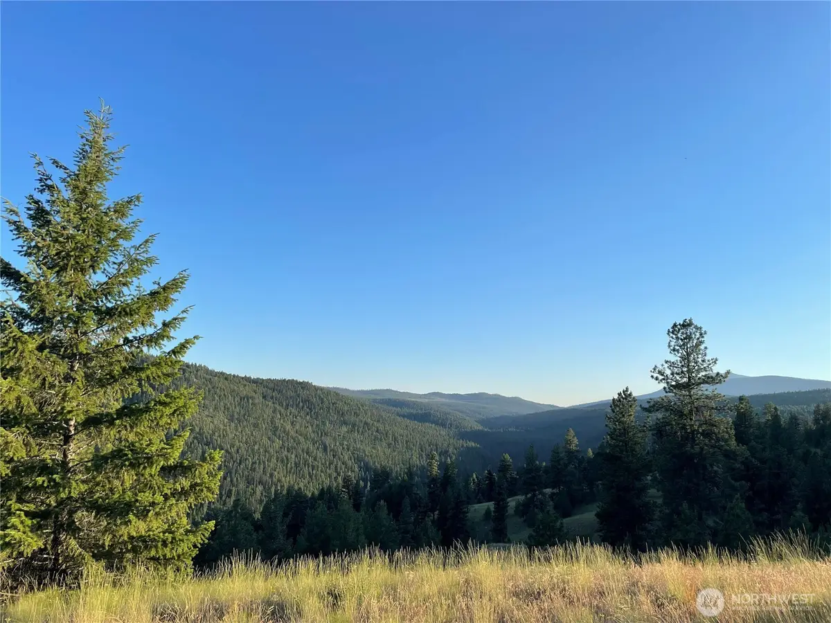 112 Tbd Sunrise Rd, Oroville, WA 98844 - #1