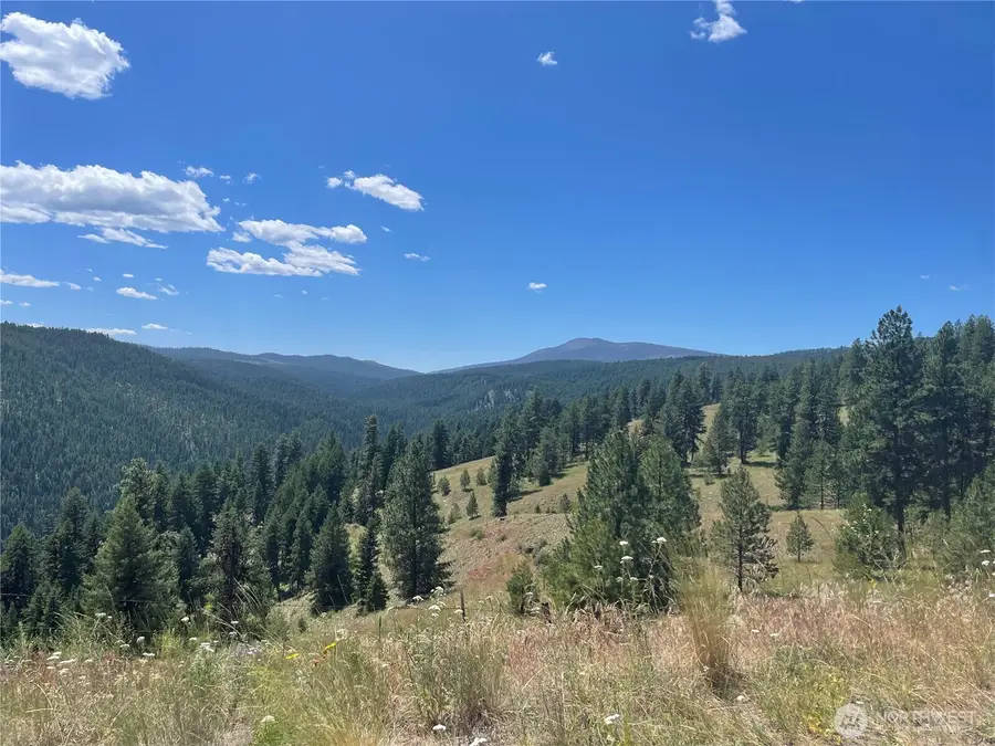 112 Tbd Sunrise Rd, Oroville, WA 98844 - #2