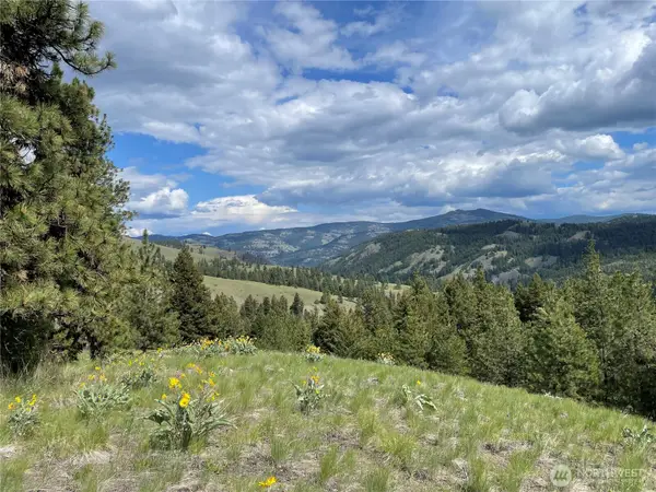 111 Tbd Sunrise Rd, Oroville, WA 98844