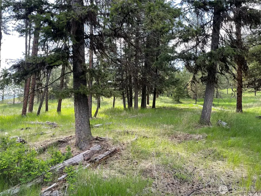 111 Tbd Sunrise Rd, Oroville, WA 98844 - #2