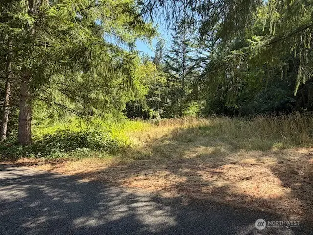 26003 SE Issaquah-fall City Road, Issaquah, WA 98029 - #2