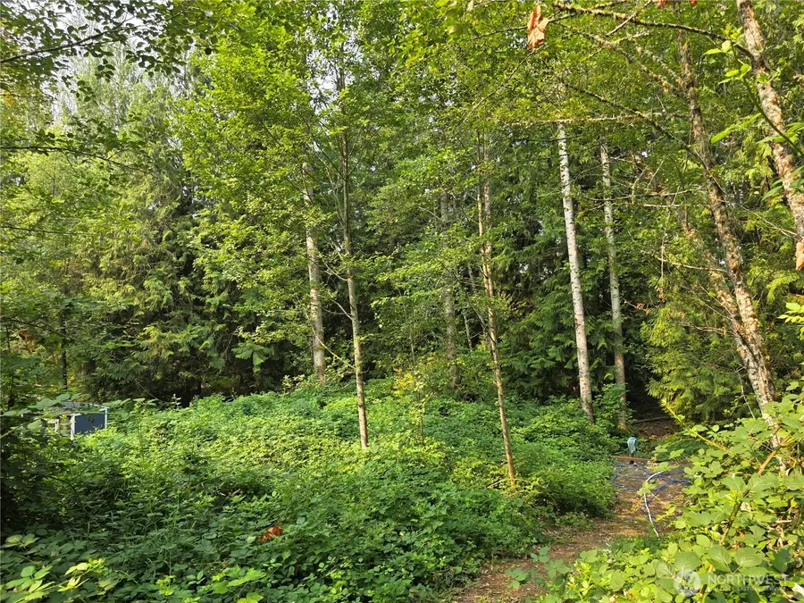 23904 E Lake Kayak Drive #lot 8, Monroe, WA 98272 - #2