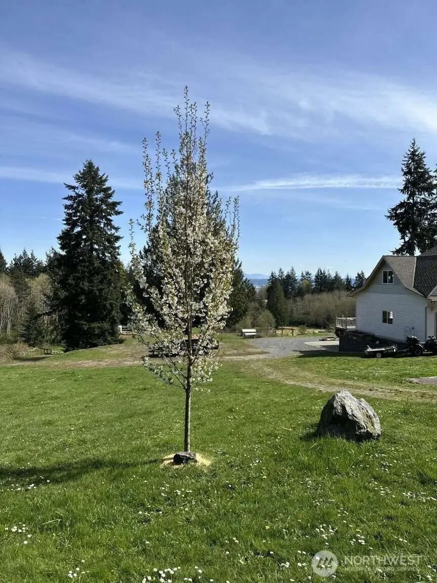800 Lawson Road, Camano Island, WA 98282 - #2