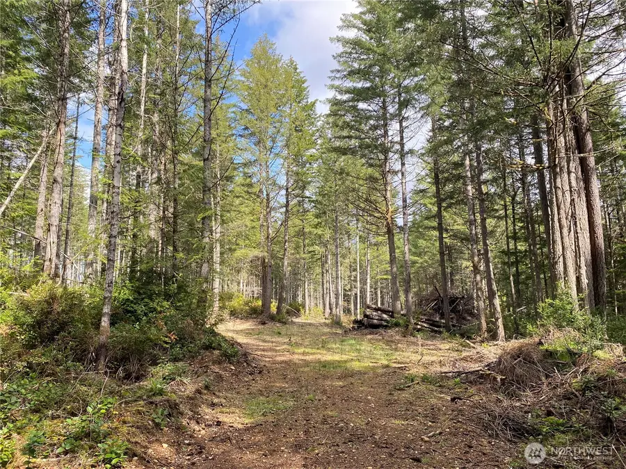 0 E Mason Lake Road #4, Grapeview, WA 98546 - #2