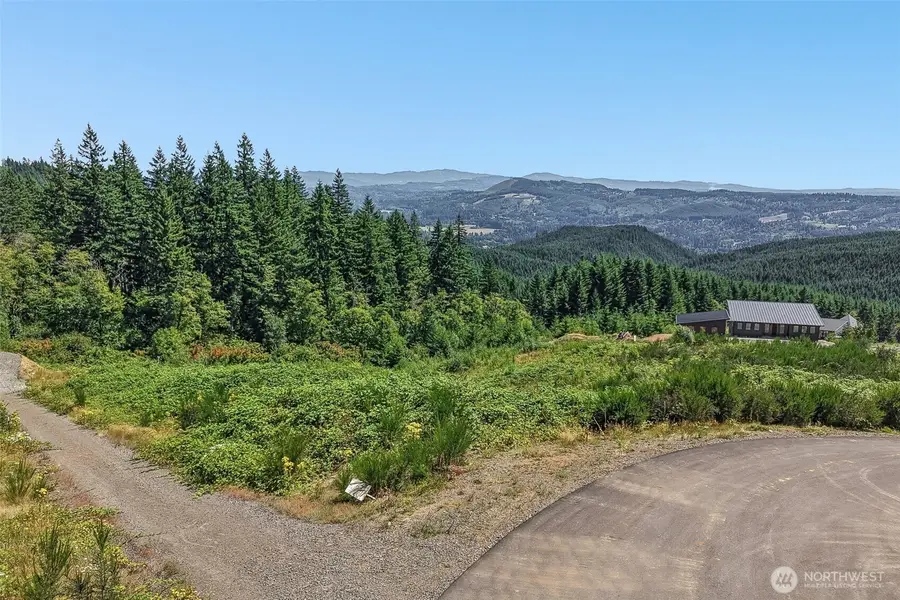 218 High Bank Lane, Woodland, WA 98674 - #3