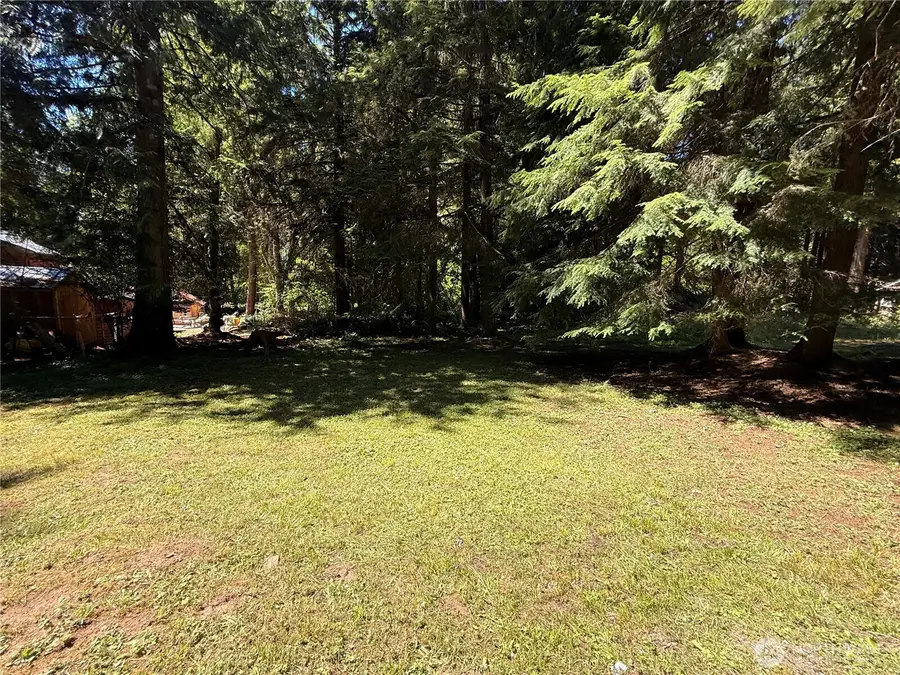56010 344th Avenue Ct E, Ashford, WA 98304 - #2