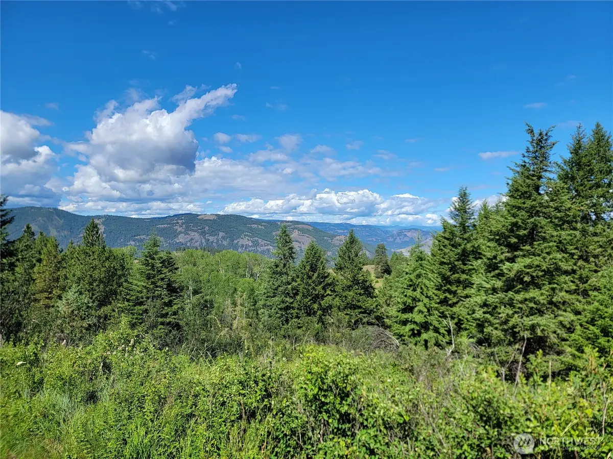 29 Yellow Brick Road, Republic, WA 99166 - #1