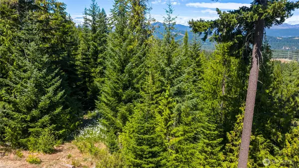 91 Basin Creek Way #2-36, Cle Elum, WA 98922