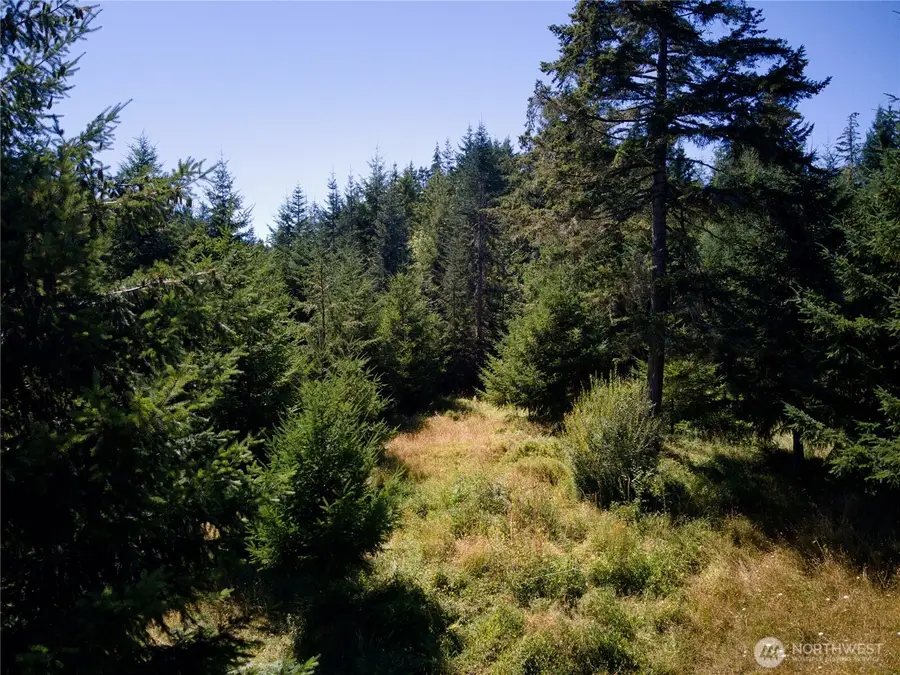 0 E Scarlet Road, Shelton, WA 98584 - #2