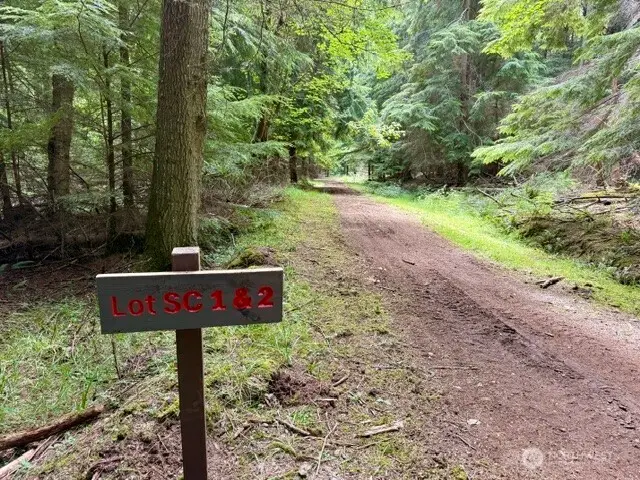 1 Thatcher Pass Road #1, Blakely Island, WA 98221 - #2