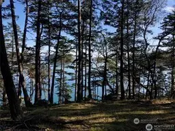 1 Thatcher Pass Road #1, Blakely Island, WA 98221 - #3