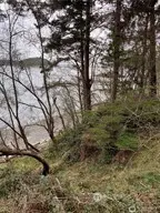 3 Fauntleroy Point Dr #3, Blakely Island, WA 98221 - #3