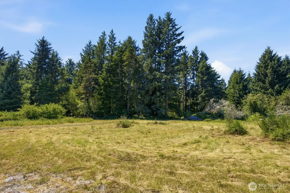 9905 Sandridge Road, Long Beach, WA 98631 - #1