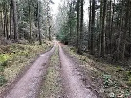 5 Fauntleroy Point Rd #5, Blakely Island, WA 98221 - #3