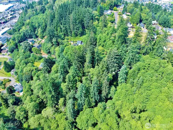 0 Blk 4 Lots 20-22 Pioneer Blvd #20-22, Aberdeen, WA 98520