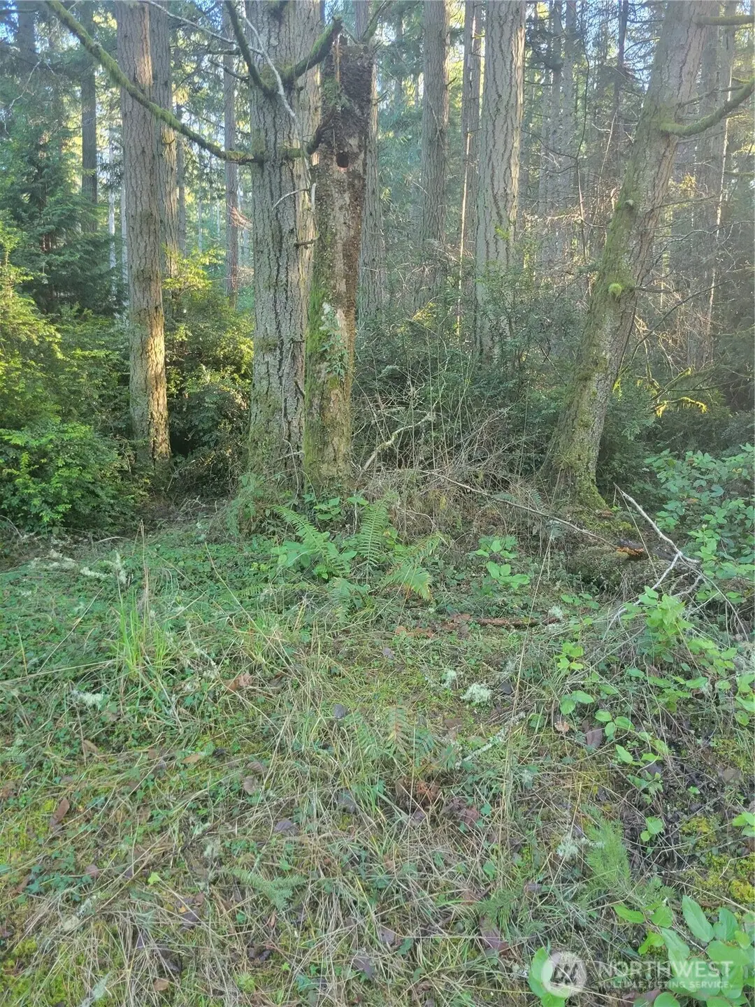 11920 Country Club Drive, Anderson Island, WA 98303 - #1