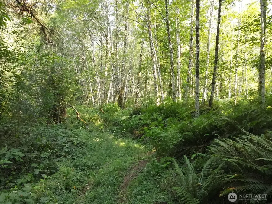 0 Gallagher Road, Shelton, WA 98584 - #2