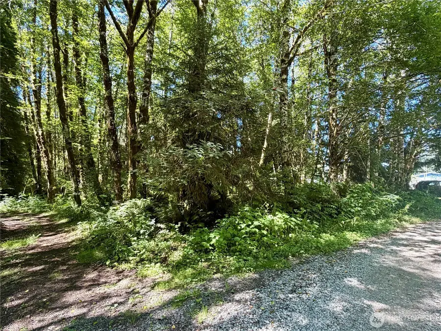 292 Sportmans Club Road, Forks, WA 98331 - #3