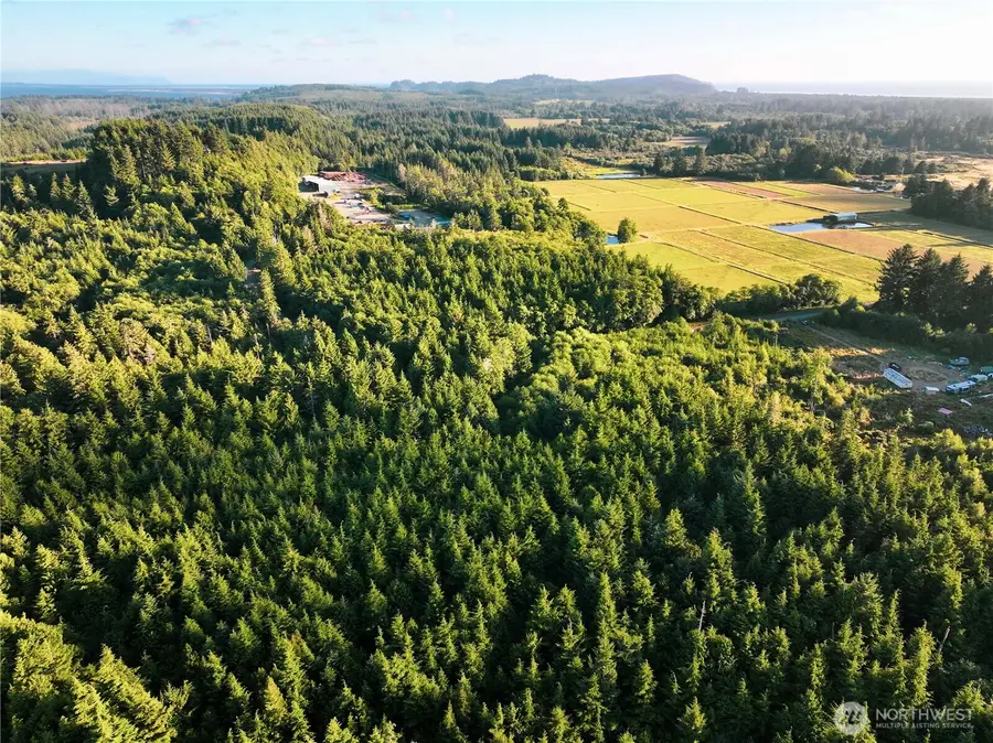 4201 67th Place E, Long Beach, WA 98631 - #2