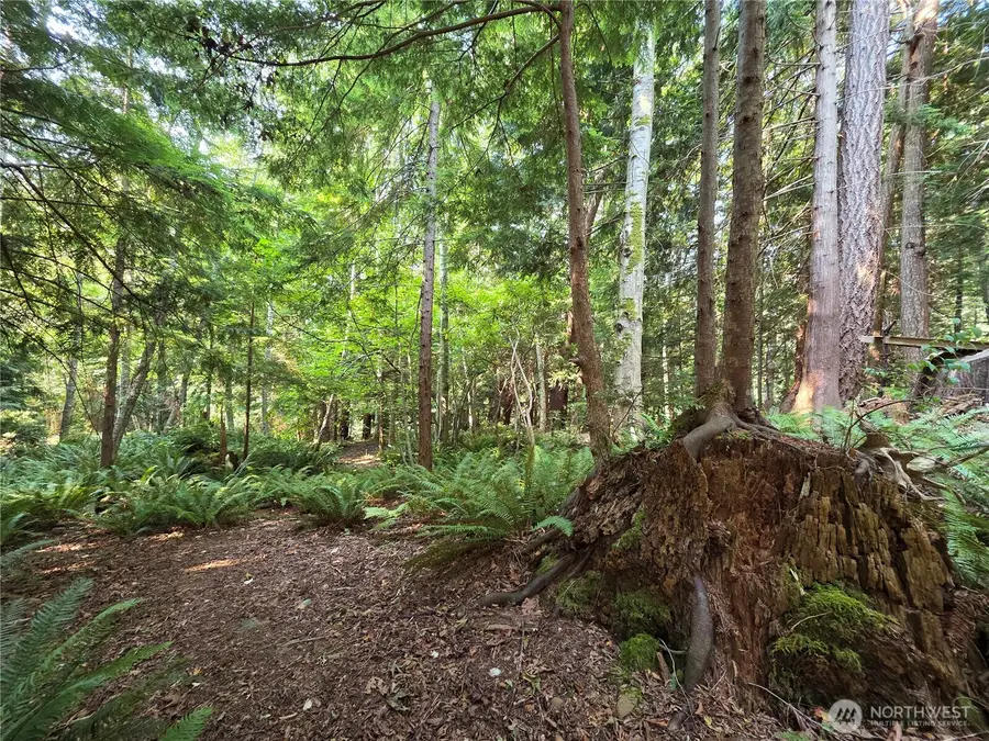 0 Cirque Drive, Brinnon, WA 98320 - #2