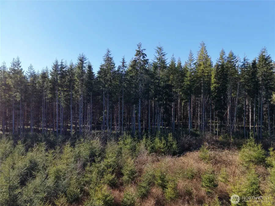 0 Kirkpatrick Road, Hoquiam, WA 98550 - #2