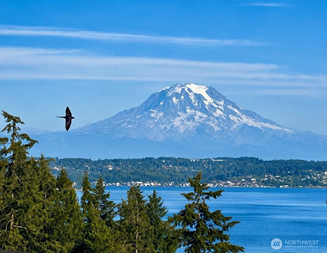 8818 30th Street Ct Nw, Gig Harbor, WA 98335 - #1