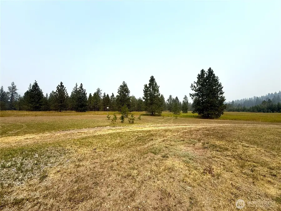 90 Gulch Road, Malo, WA 99150 - #2