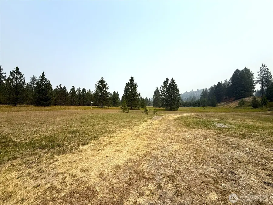 90 Gulch Road, Malo, WA 99150 - #3