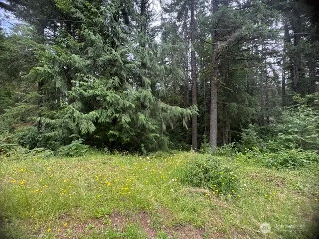 0 E Sleaford Road, Shelton, WA 98584 - #1
