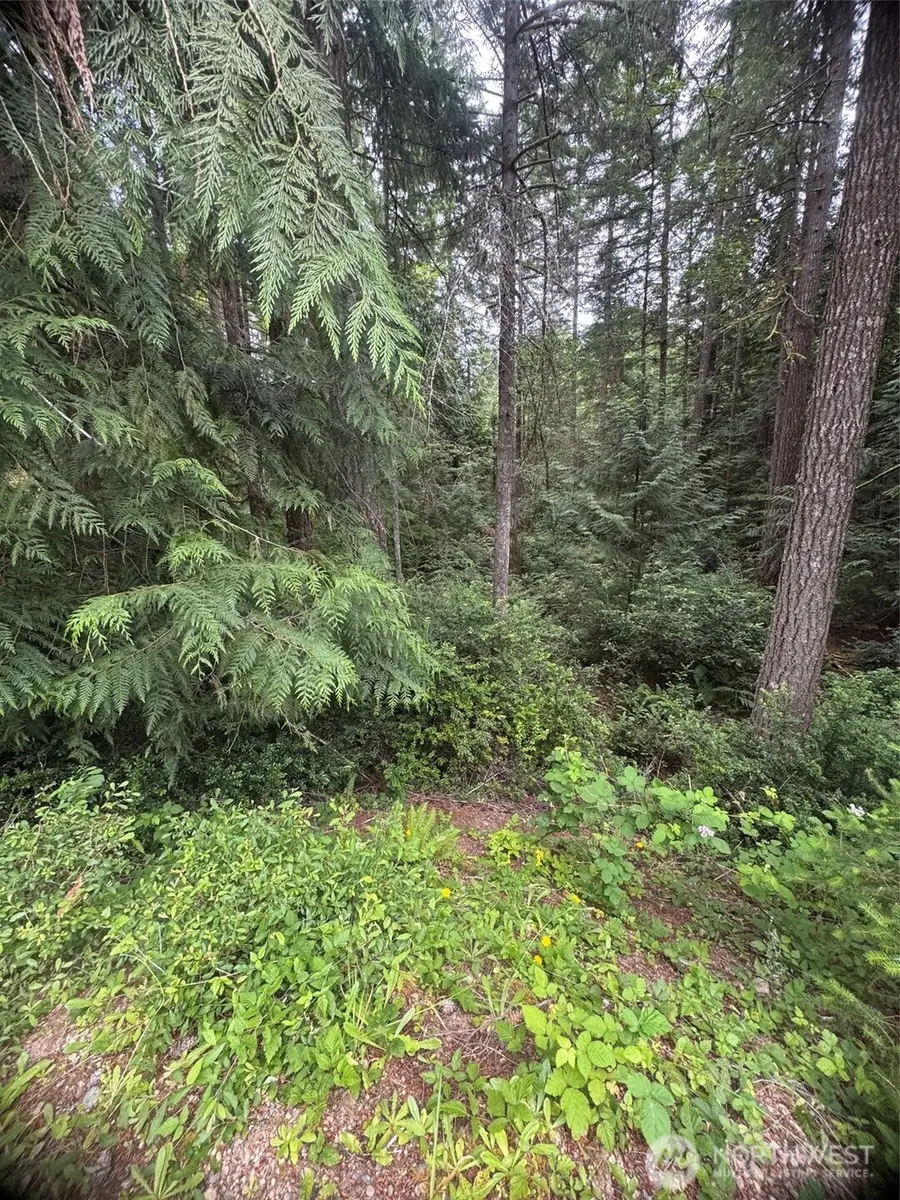 0 E Sleaford Road, Shelton, WA 98584 - #3