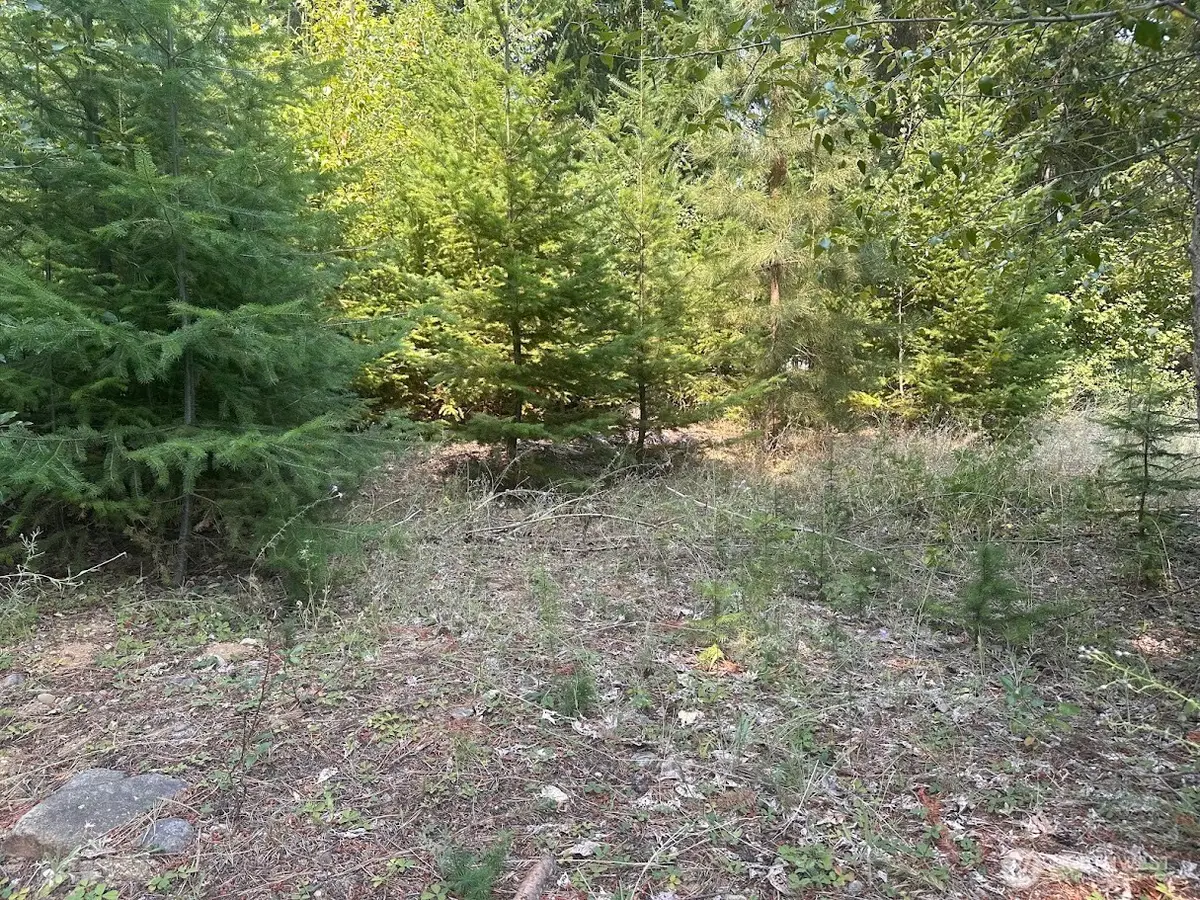 0 Spy Glass Place, Cle Elum, WA 98922 - #1