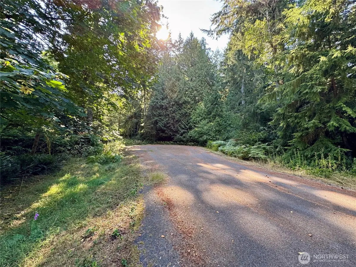10516 106th Street #94, Anderson Island, WA 98303 - #1