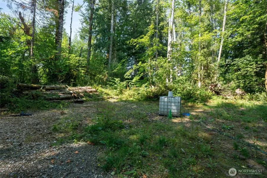 54982 214th Avenue E, Elbe, WA 98330 - #2