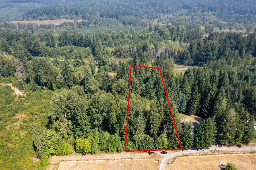 54982 214th Avenue E, Elbe, WA 98330 - #3
