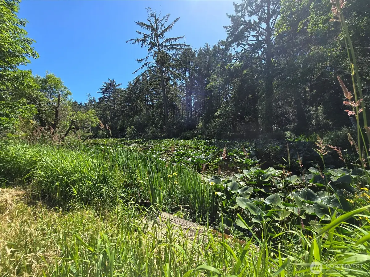 2225 State Route 105, Grayland, WA 98547 - #1