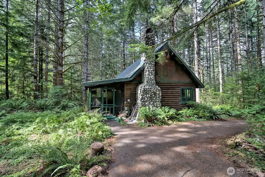832 N Lake Cushman Road, Hoodsport, WA 98548 - #2