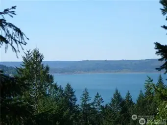 511 NE Tahuski, Tahuya, WA 98588 - #1