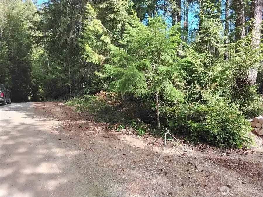 0 E Frontier Road #1, Grapeview, WA 98546 - #3