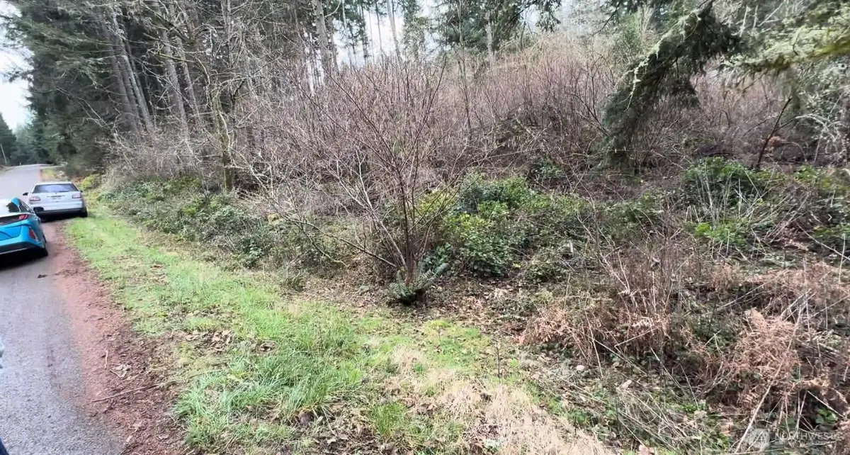 10618 Tahoma Drive #9, Anderson Island, WA 98303 - #1