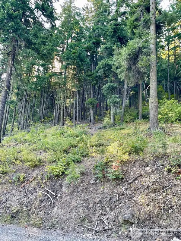 1290 Rodeo Road #41, Cle Elum, WA 98922