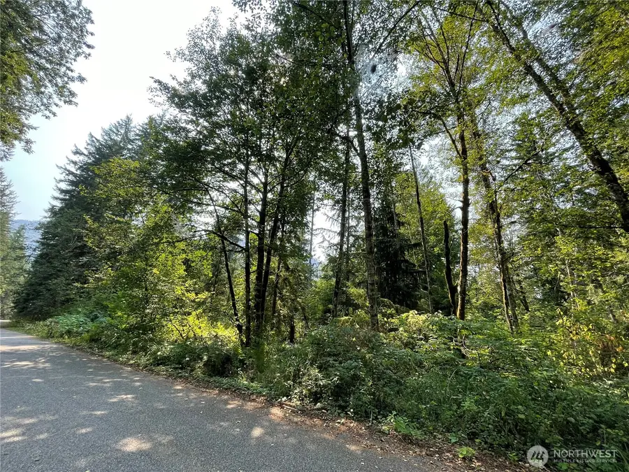 7521 Olsen Drive #2, Glacier, WA 98244 - #2