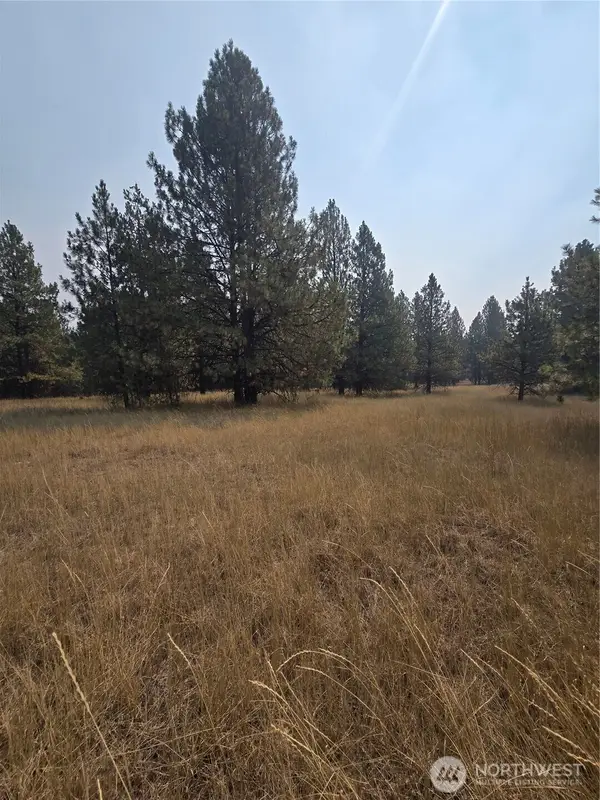 0 Tbd Turner Lake Road, Tonasket, WA 98855