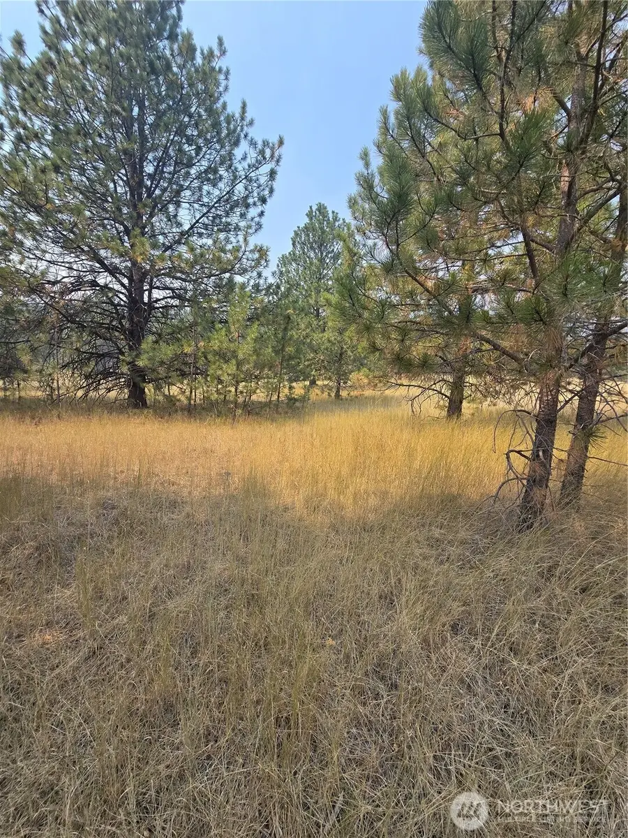 0 Tbd Turner Lake Road, Tonasket, WA 98855 - #3