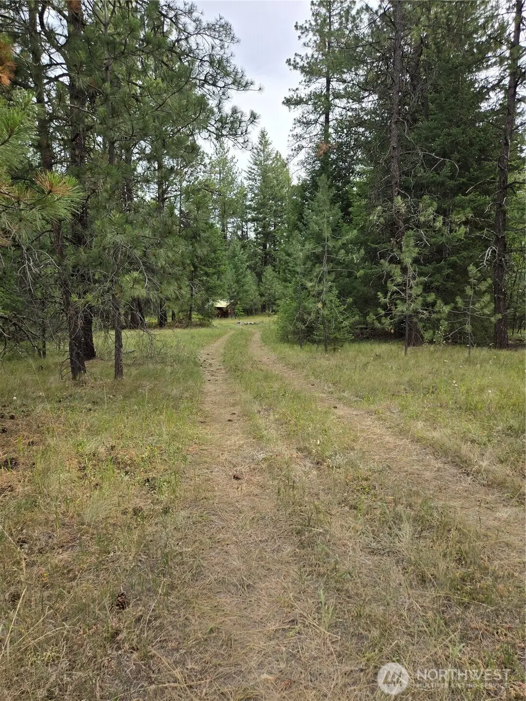 0 Tbd Turner Lake Road, Tonasket, WA 98855 - #1