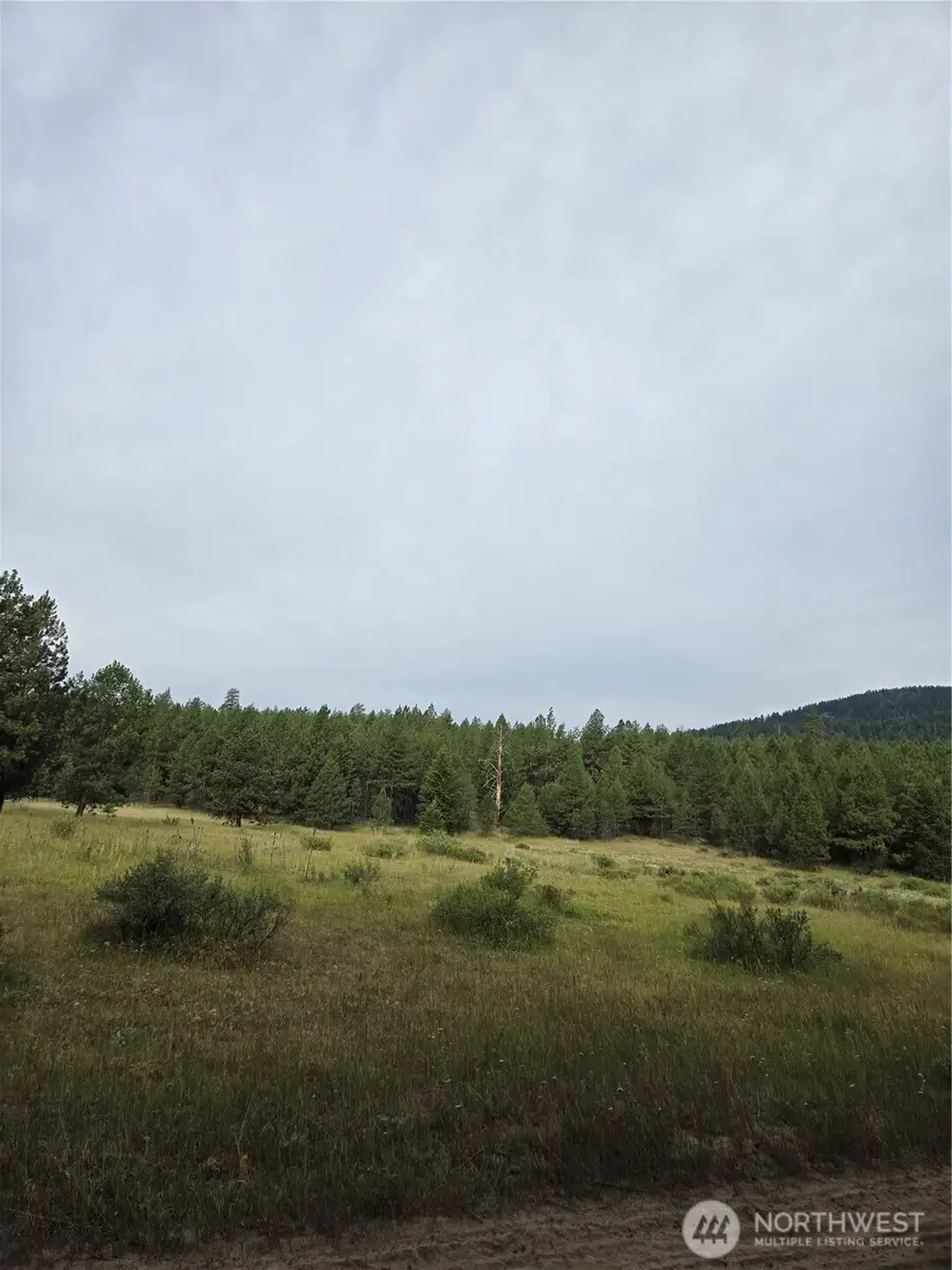0 Tbd Turner Lake Road, Tonasket, WA 98855 - #3