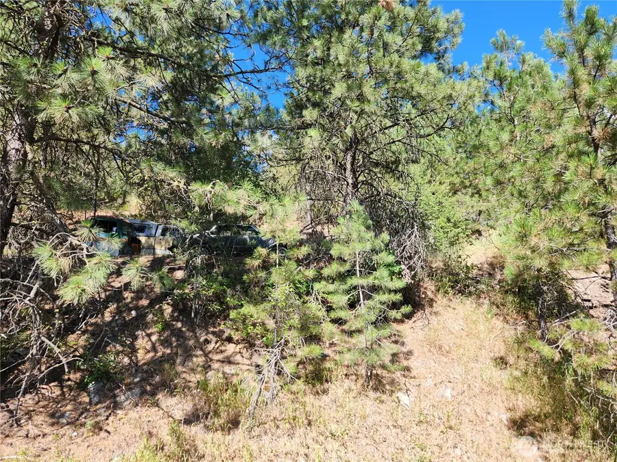 0 Klondike Road #Lot 1, Republic, WA 99166 - #2