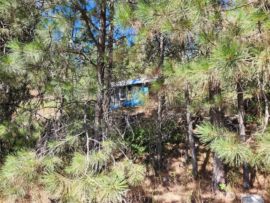 0 Klondike Road #Lot 1, Republic, WA 99166 - #3
