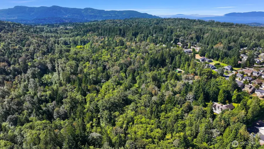 0 Pine Street, Bellingham, WA 98225 - #2