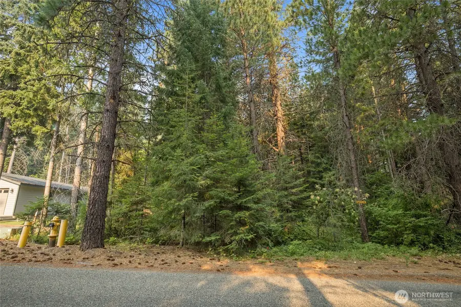 2 Oakmont, Cle Elum, WA 98922 - #2